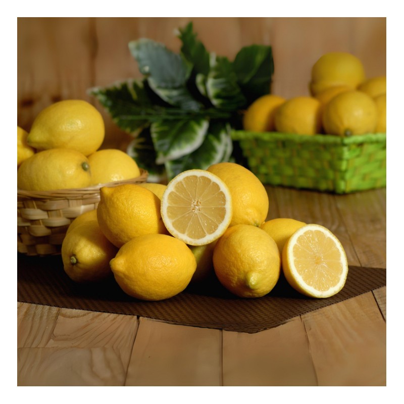 Citron Fino Primofiore Bio (500 g)