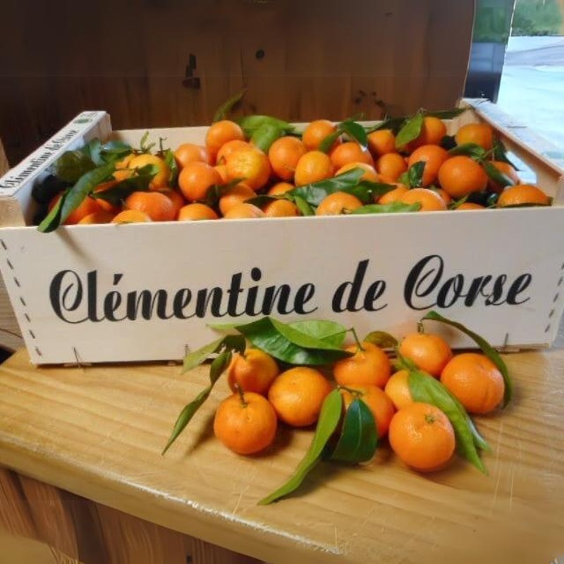 Clémentine Bio Corse (500 g)