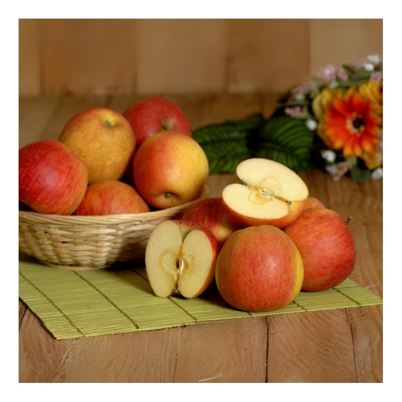 Pomme Renoir bio (500g)