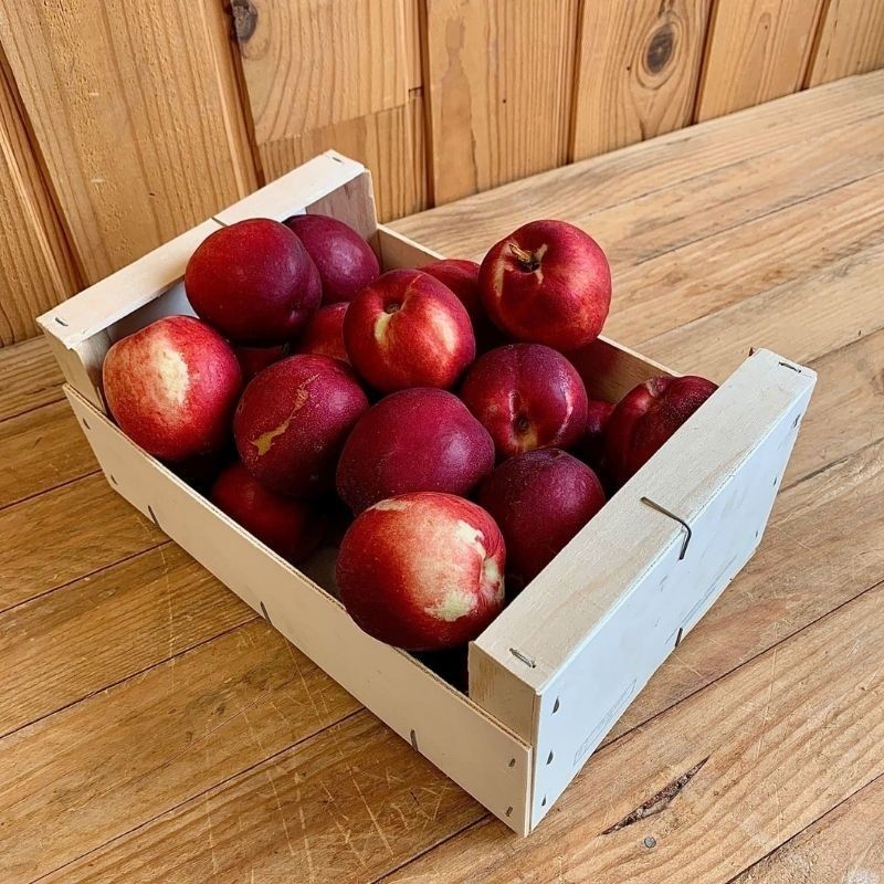 Nectarine blanche