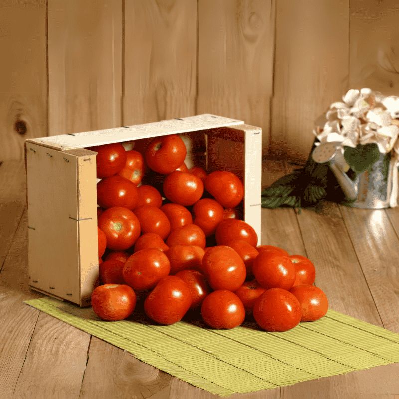 Tomate ronde