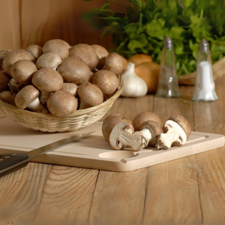 Champignon brun de Paris