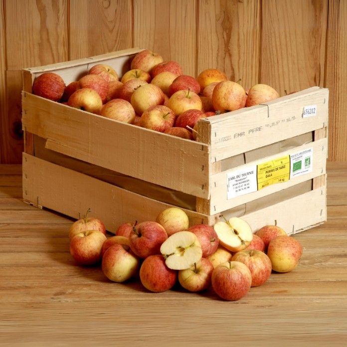 Pomme Gala