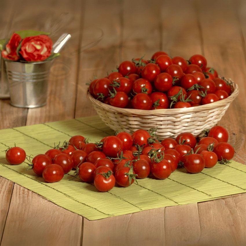Tomate cerise