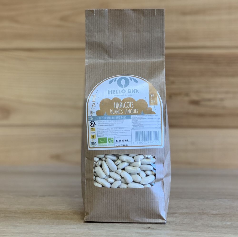 Haricot blanc cultivés dans le maïs