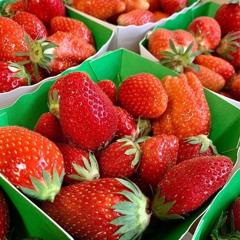 Fraise Cléry