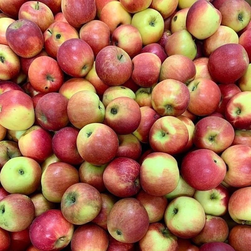 Pomme Crimson Crisp