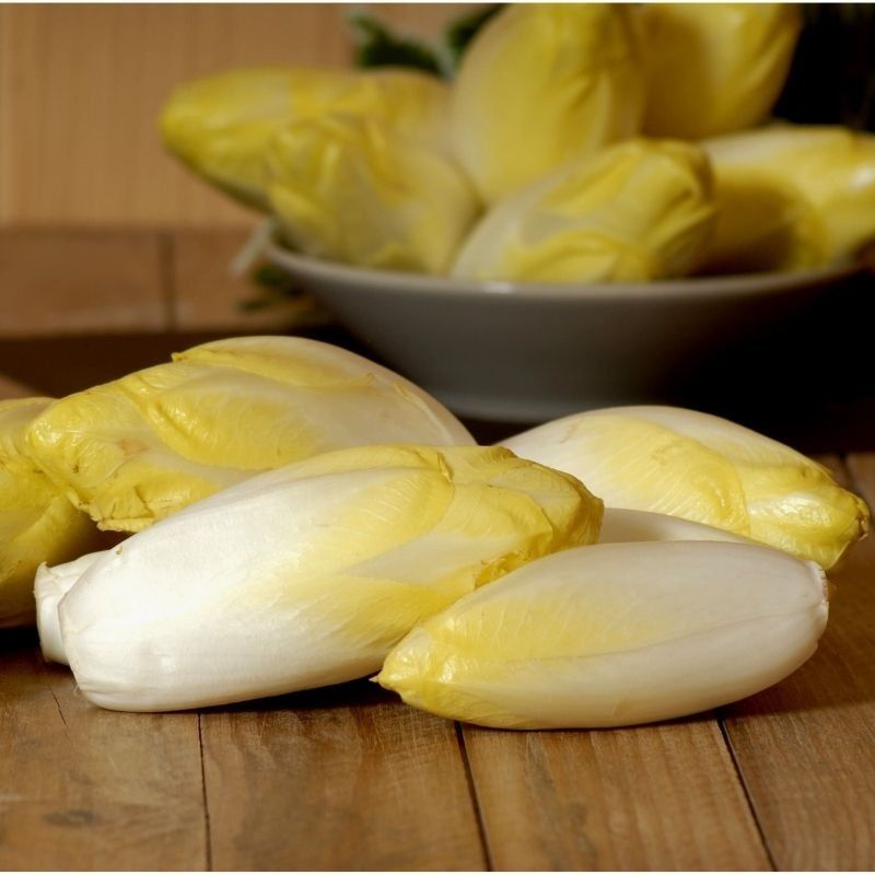 Endive