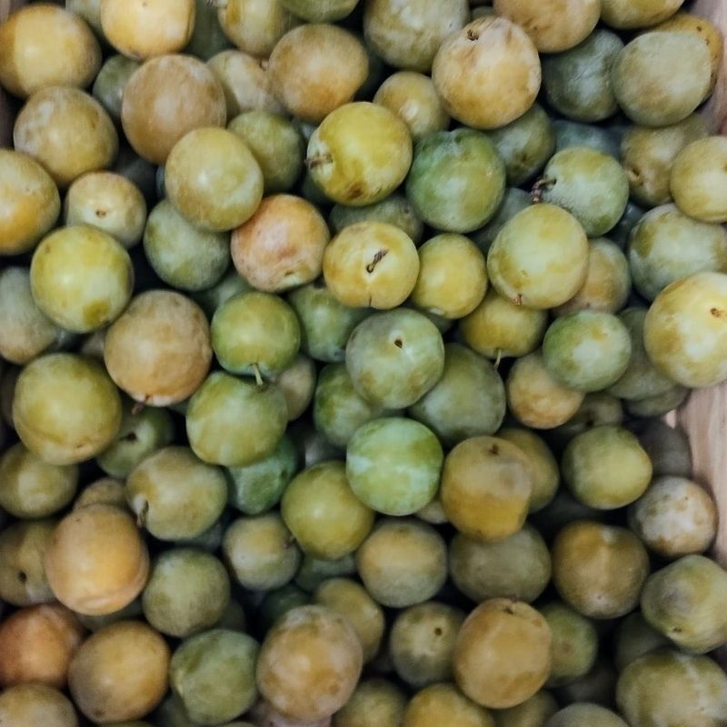 Prune pour confiture