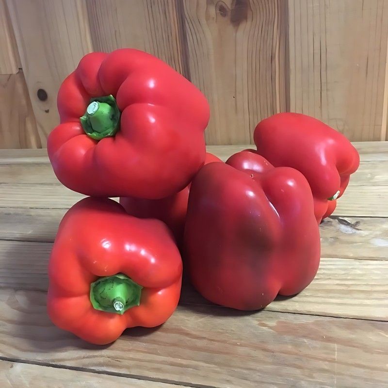 Poivron rouge