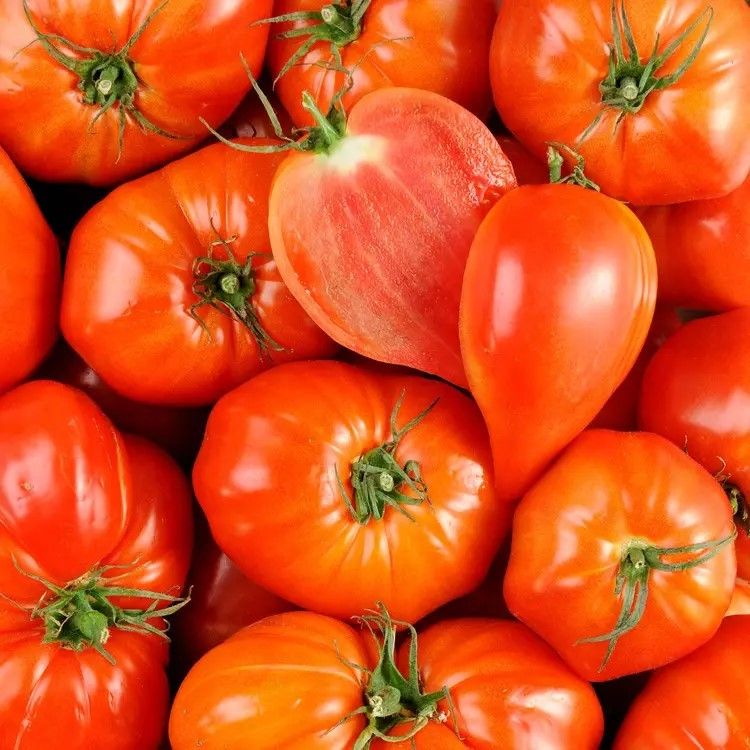 Tomate coeur de boeuf