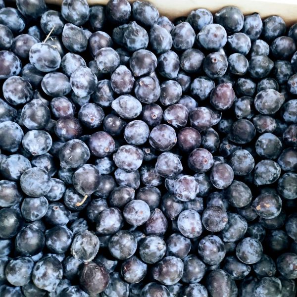 Prune Datil (mirabelle noire)