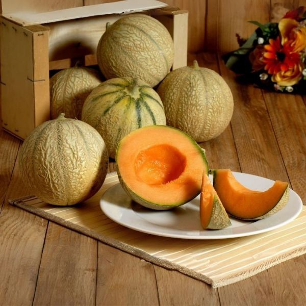Melon Charentais