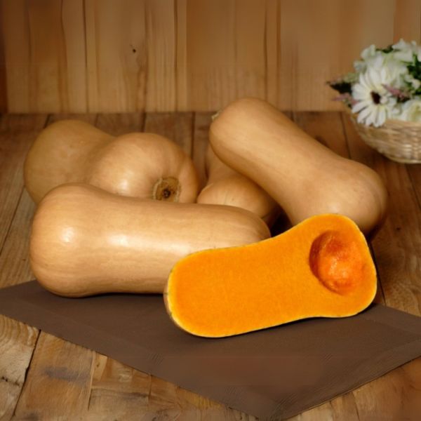 Butternut