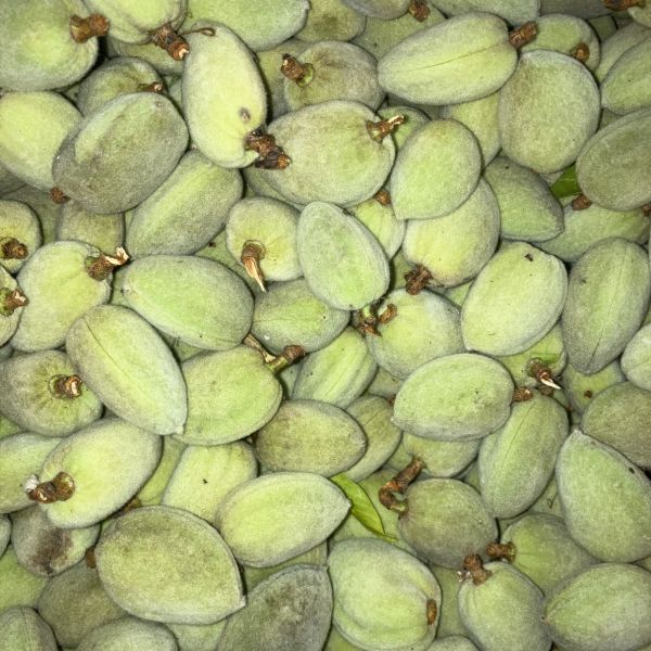 Amande fraîche