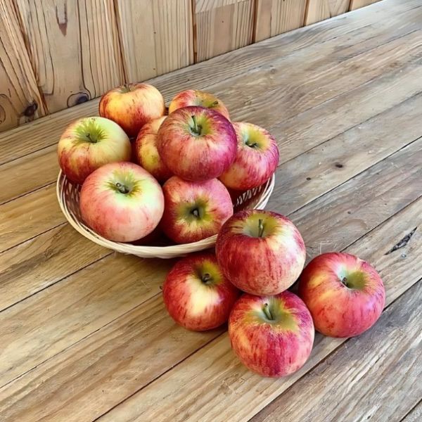 Pomme Gaïa