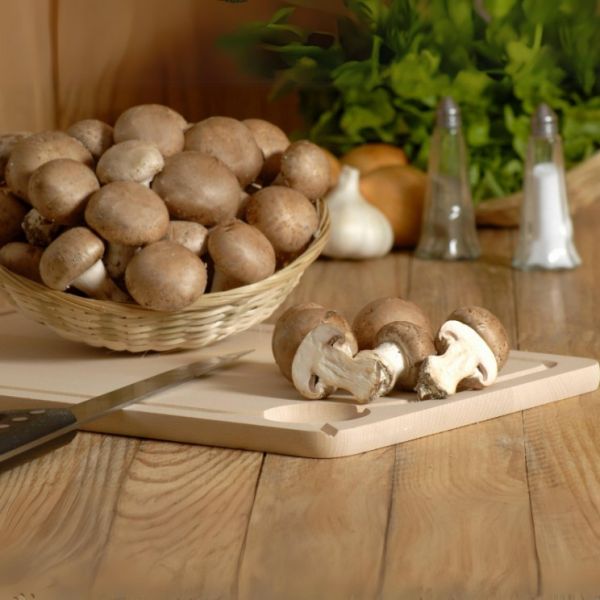 Champignon brun de Paris