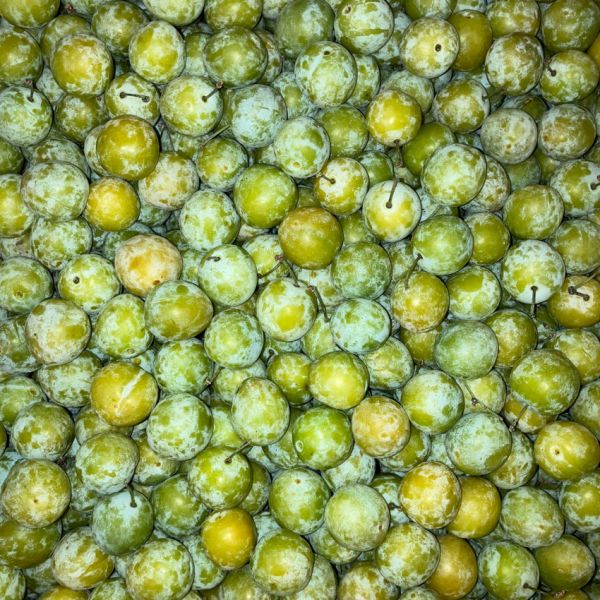 Prune Mirabelle