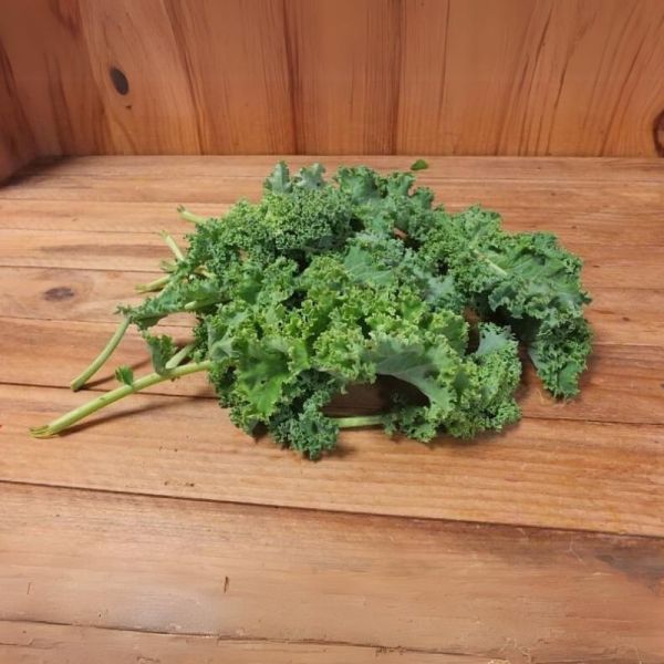 Chou kale frisé