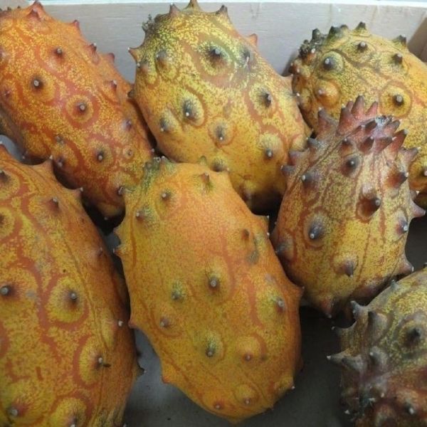 Kiwano - Melon à Corne