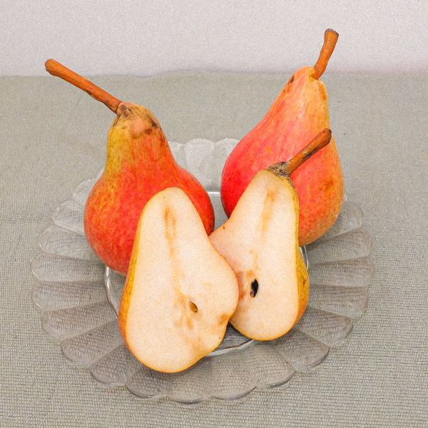 Poire Carmen