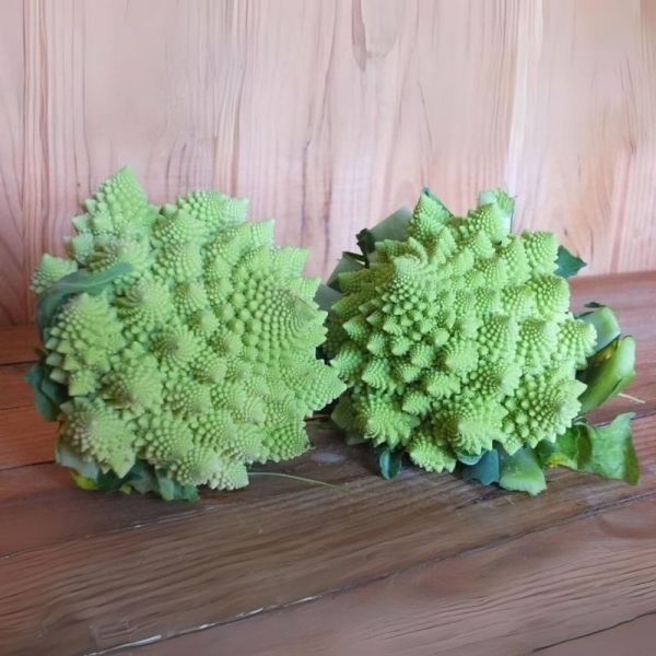 Chou Romanesco
