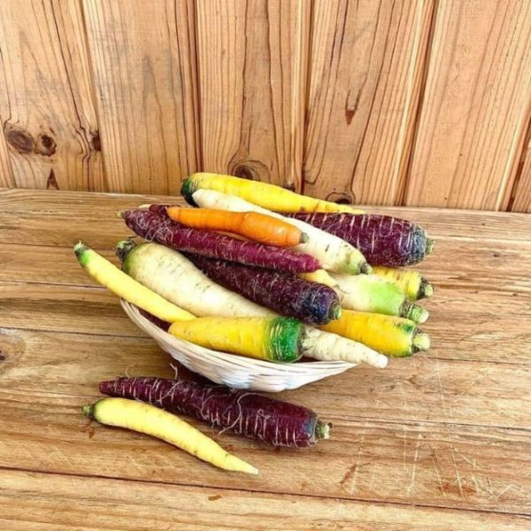 Carotte couleurs mélangées