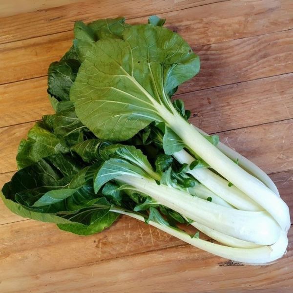 Pak choï