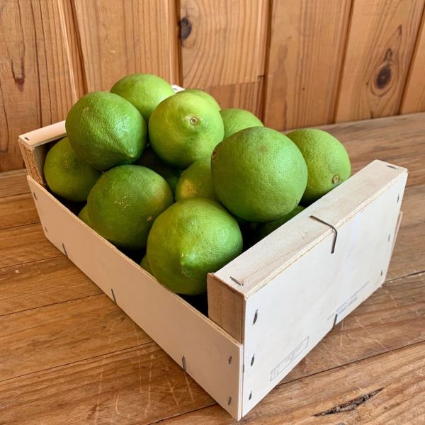 Citron jaune Verdelli - Coloration verte