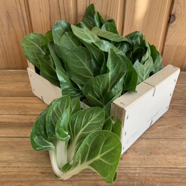 Blette pied de Barèse