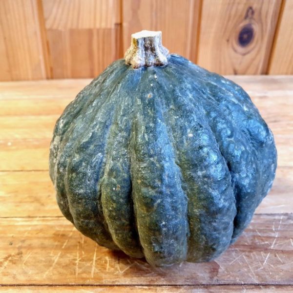 Potimarron vert Shiatsu