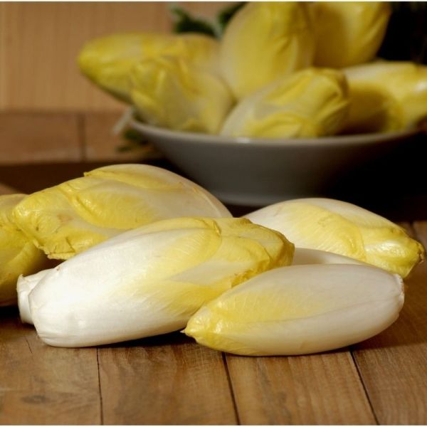 Endive