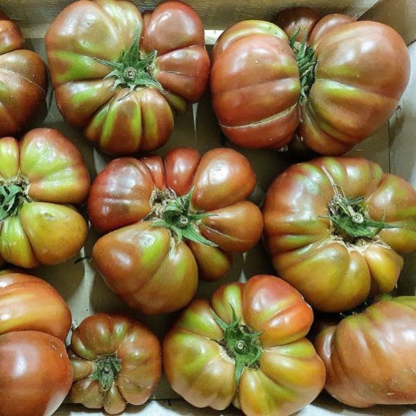 Tomate Côtelée Noire de Crimée