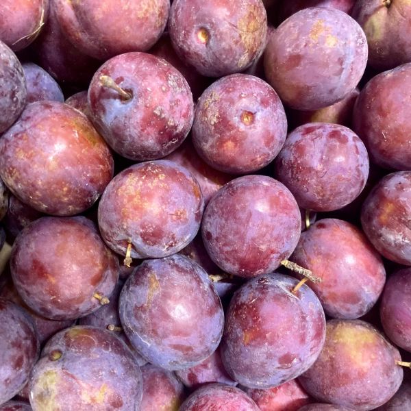 Prunes Violette Président