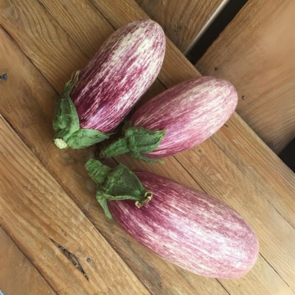 Aubergine Graffiti