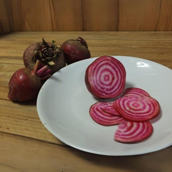 Betterave Chioggia