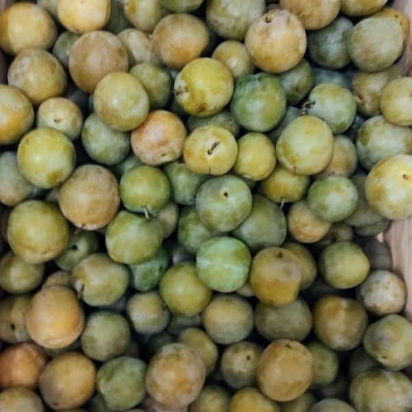 Prune pour confiture