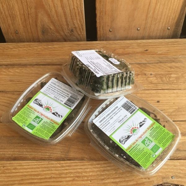 Algue alimentaire - Laitue de Mer