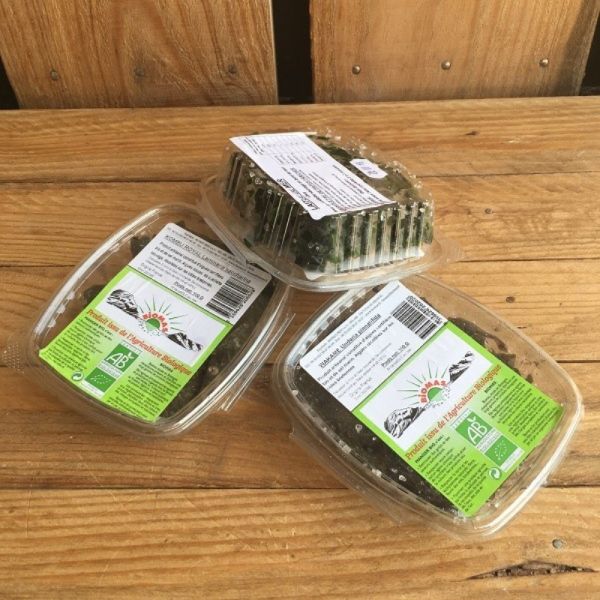 Algue Alimentaire  - Wakamé