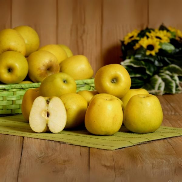 Pomme jaune Opal