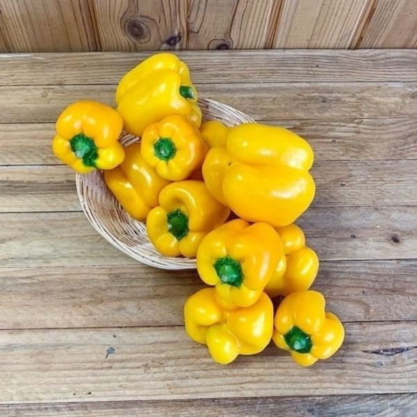 Poivron jaune