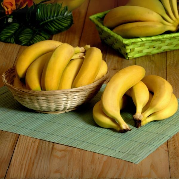 Banane Cavendish
