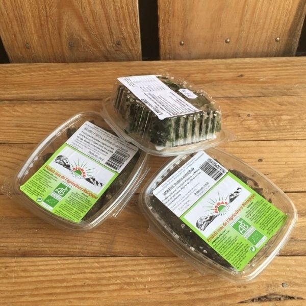 Algue alimentaire - Haricot de Mer