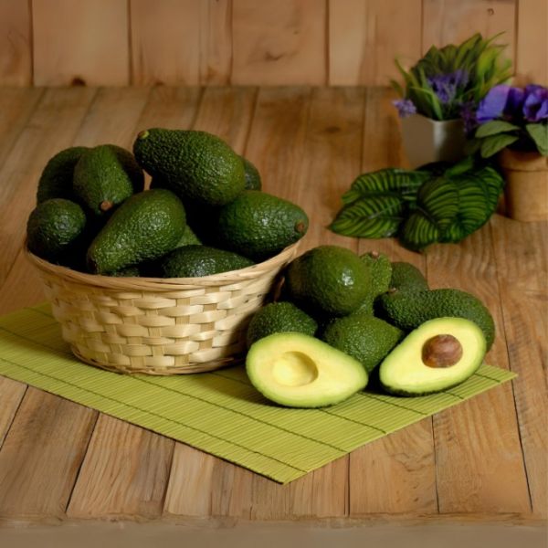 Avocat Hass