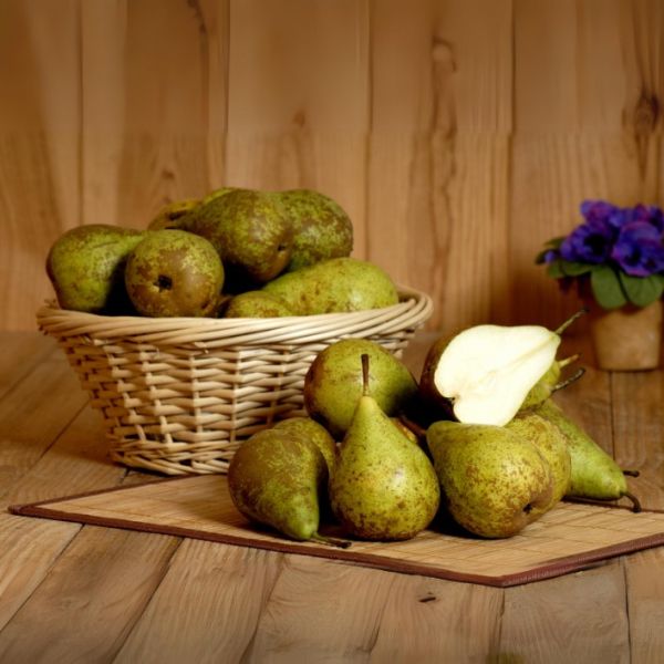 Poire Guyot